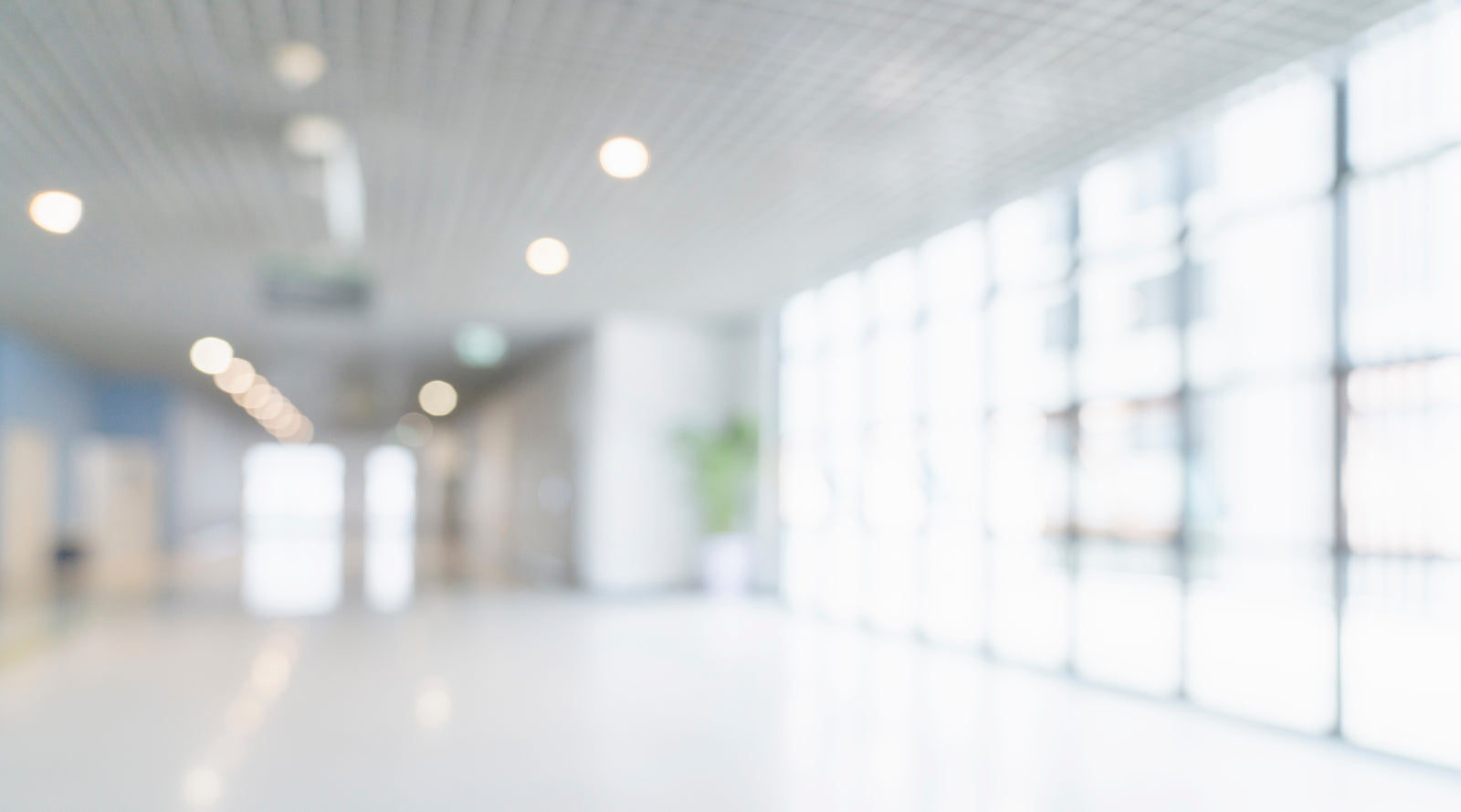 Modern Storage Solutions